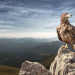 プレイヤーかマネジメントか、自分の手を動かせなくなる時のためのリスクヘッジを考える